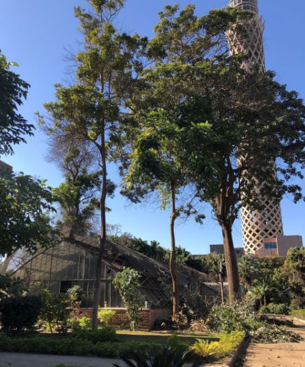 نداء عاجل للحفاظ على حديقة الزهرية التاريخية بالزمالك
